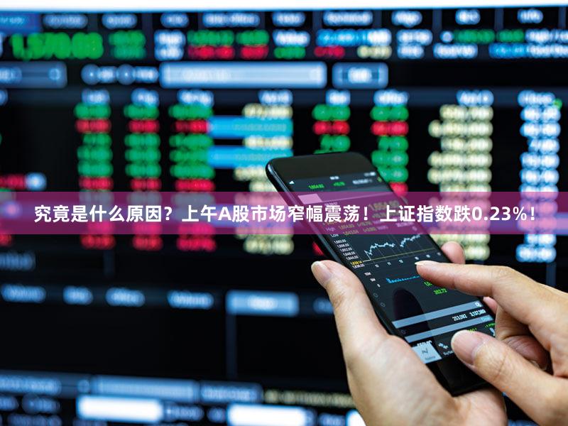 究竟是什么原因？上午A股市场窄幅震荡！上证指数跌0.23%！
