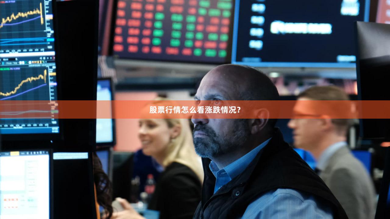 股票行情怎么看涨跌情况？