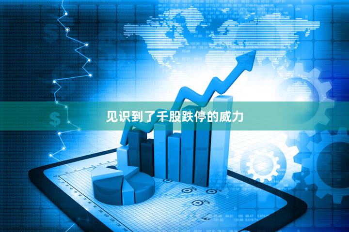 见识到了千股跌停的威力