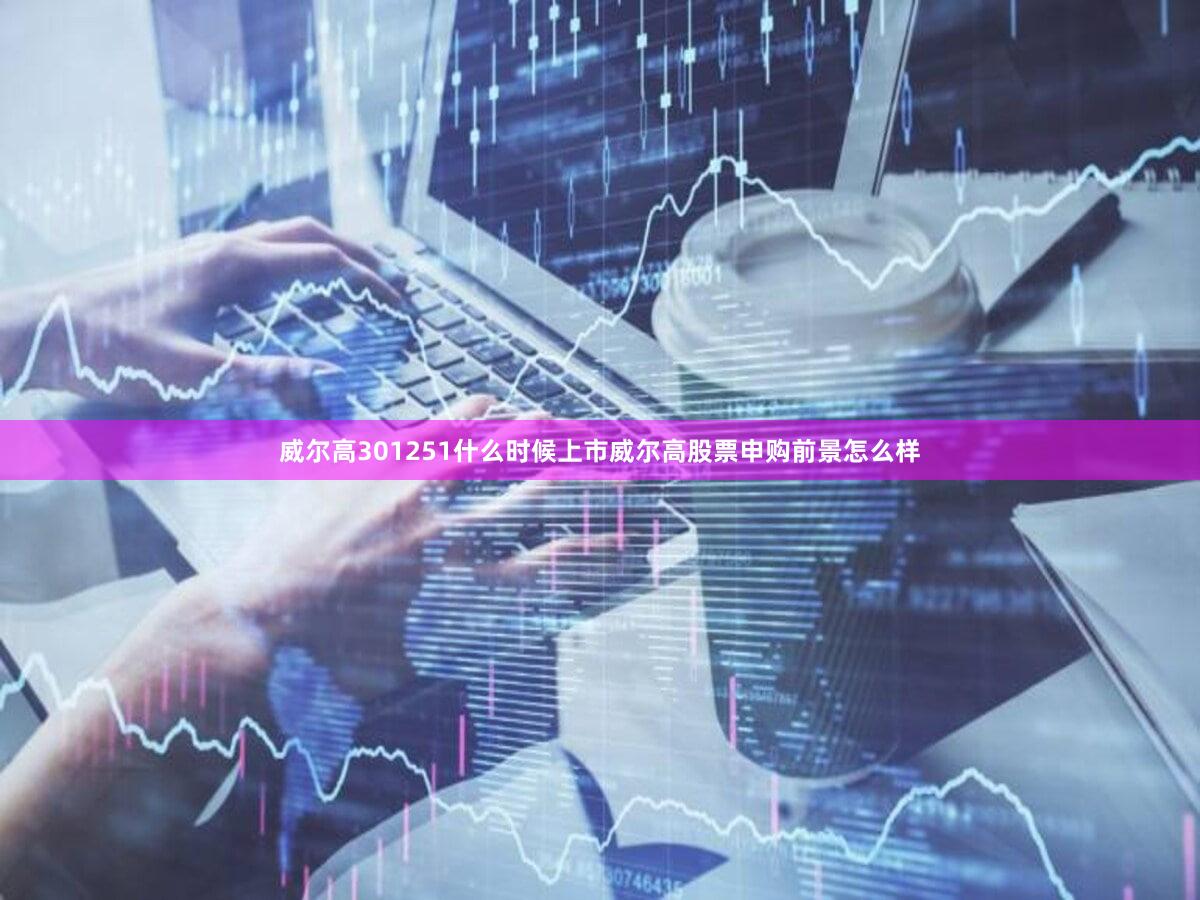 威尔高301251什么时候上市威尔高股票申购前景怎么样