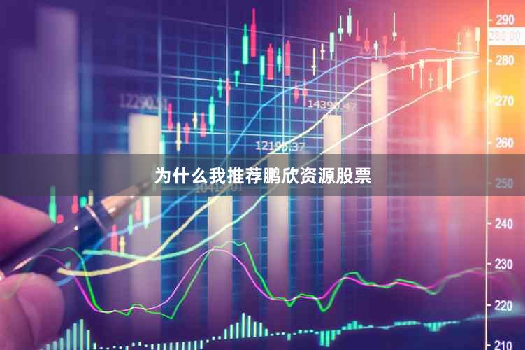 为什么我推荐鹏欣资源股票