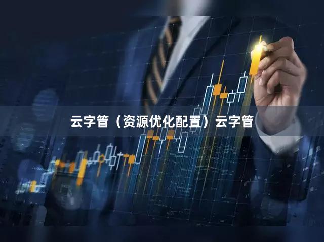 云字管（资源优化配置）云字管