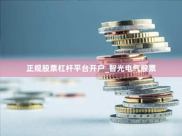 正规股票杠杆平台开户_智光电气股票
