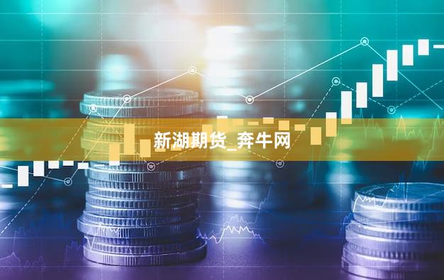 新湖期货_奔牛网