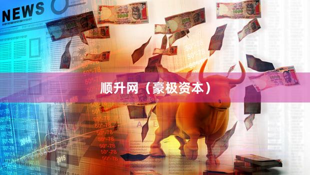 顺升网（豪极资本）