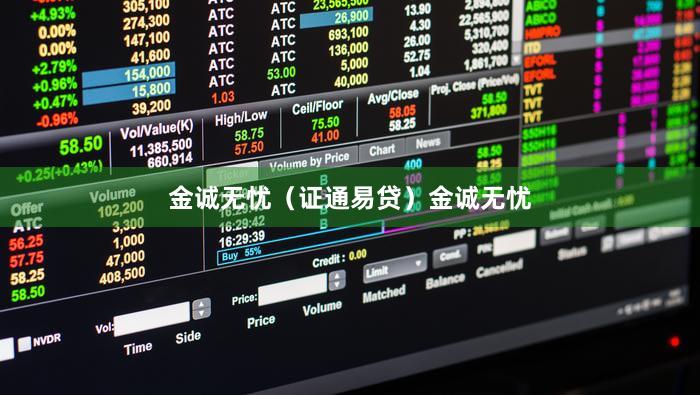 金诚无忧（证通易贷）金诚无忧