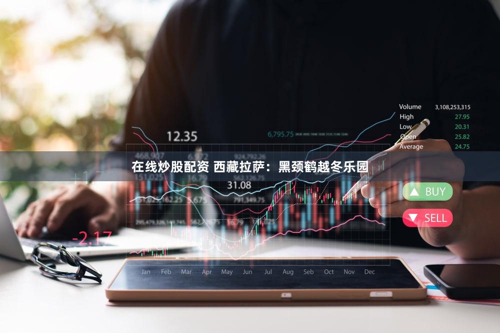 在线炒股配资 西藏拉萨：黑颈鹤越冬乐园