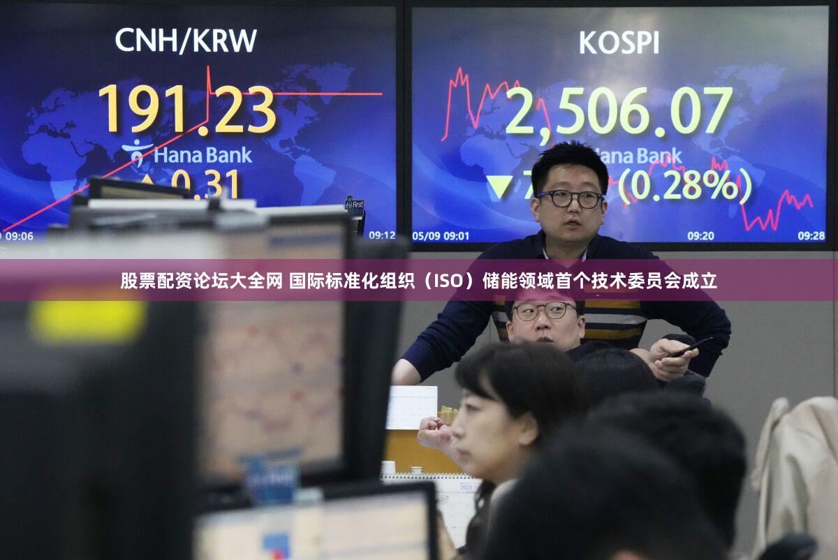 股票配资论坛大全网 国际标准化组织（ISO）储能领域首个技术委员会成立