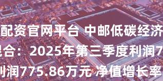配资官网平台 中邮低碳经济灵活配置混合：2025年第三季度利润775.86万元 净值增长率22.74%
