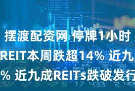 摆渡配资网 停牌1小时!这只REIT本周跌超14% 近九成REITs跌破发行价
