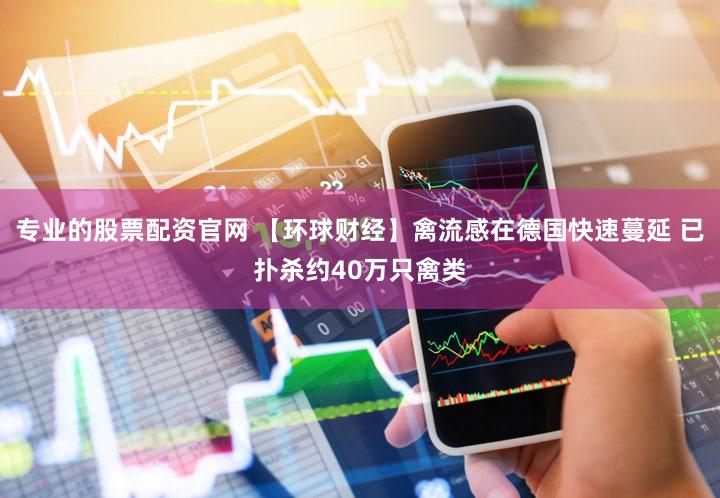 专业的股票配资官网 【环球财经】禽流感在德国快速蔓延 已扑杀约40万只禽类