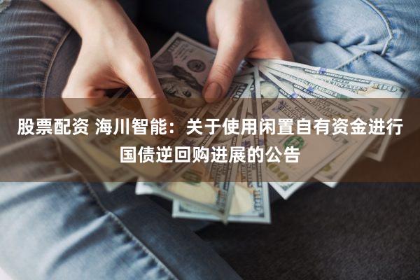 股票配资 海川智能：关于使用闲置自有资金进行国债逆回购进展的公告